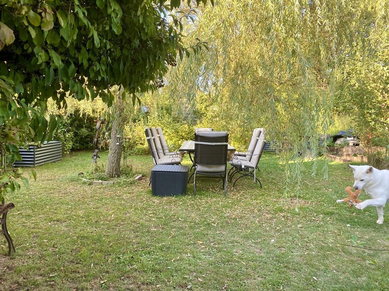 Garten Bild1 Garten Bild1
