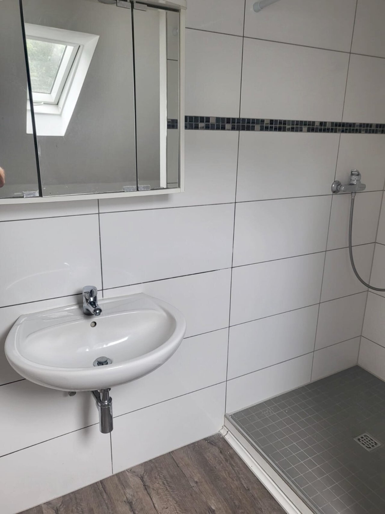 DG-Bad-WC Bild2
