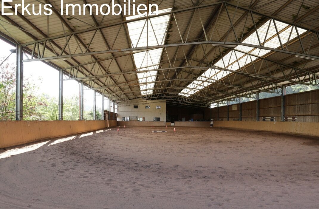 Innenfoto 1- Halle Innenfoto 1- Halle